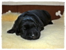 sm R�de (ge R�)