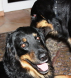 Geheimnis f�r Mama