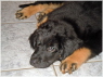 hier gef�llt es mir