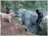 ist das Wasser nass