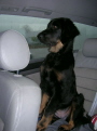 Andors Auto