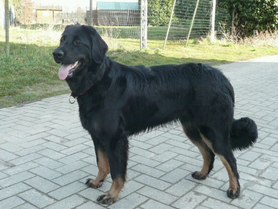 Arjana im Stand