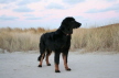 Ayla Langeoog 4