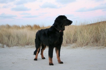 Ayla Langeoog 4