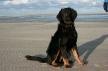 Ayla Langeoog 3