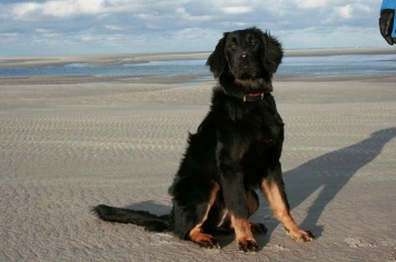 Ayla Langeoog 3