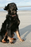 Ayla Langeoog 2