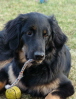 Aylin mit Ball