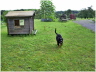 mein Garten