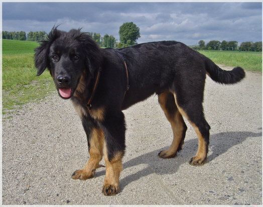 und t�glich ein paar Millimeter
