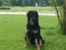 Warten aud den gro�en Moment