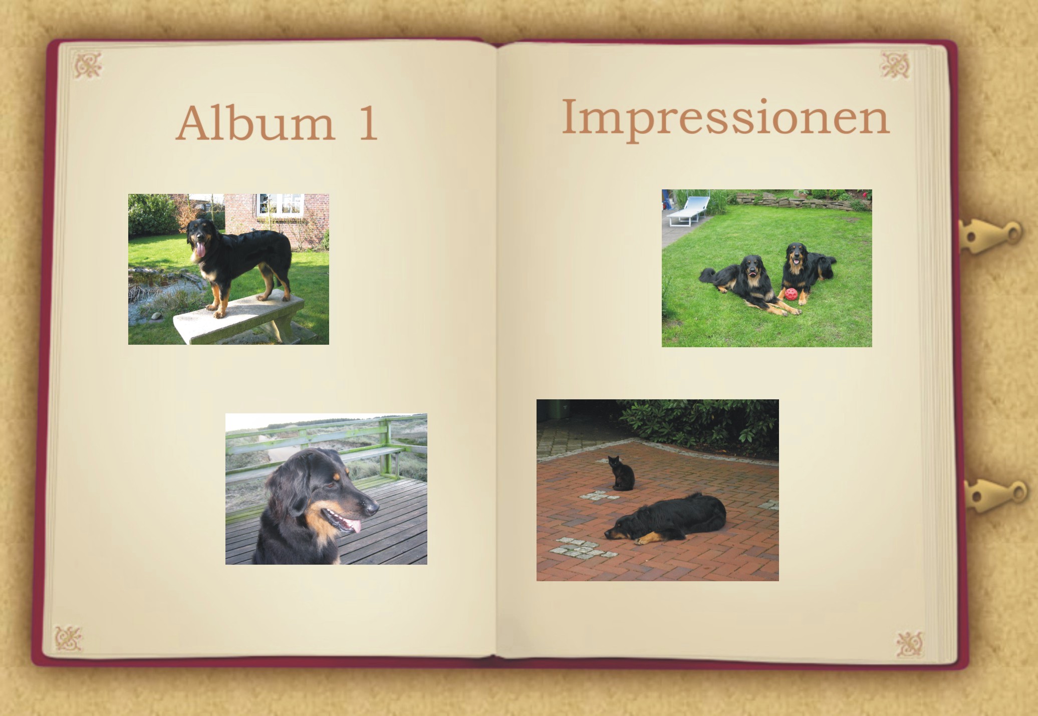 fotoalbum3