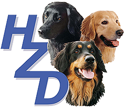 hzd-logo-neu1